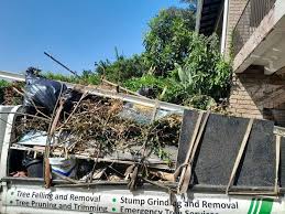 Best Commercial Junk Removal  in Biltmore, TN