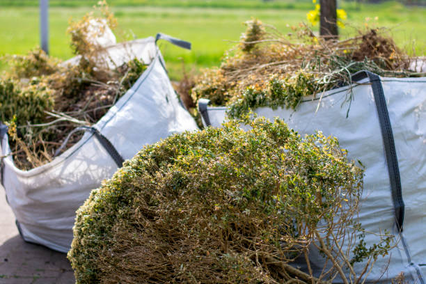 Best Shed Removal  in Biltmore, TN