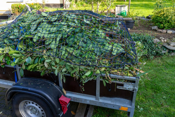 Best Mattress Disposal  in Biltmore, TN